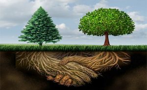 two clipart green trees with below ground roots shaking hands imagery brown